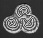Triple Spirals of Life - 5000 years old